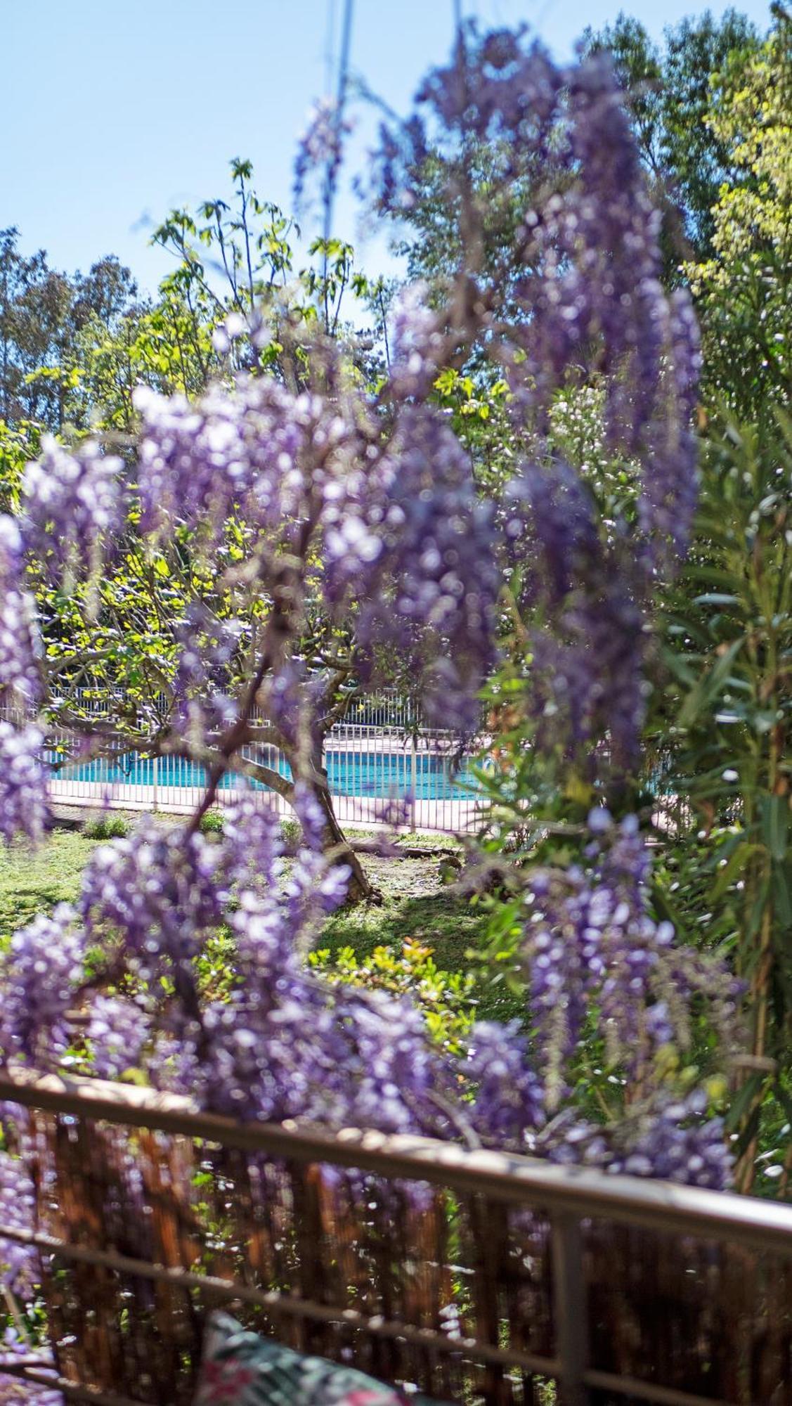 Casa Laura -Parking - Pool Apartamento Saint-Tropez Exterior foto
